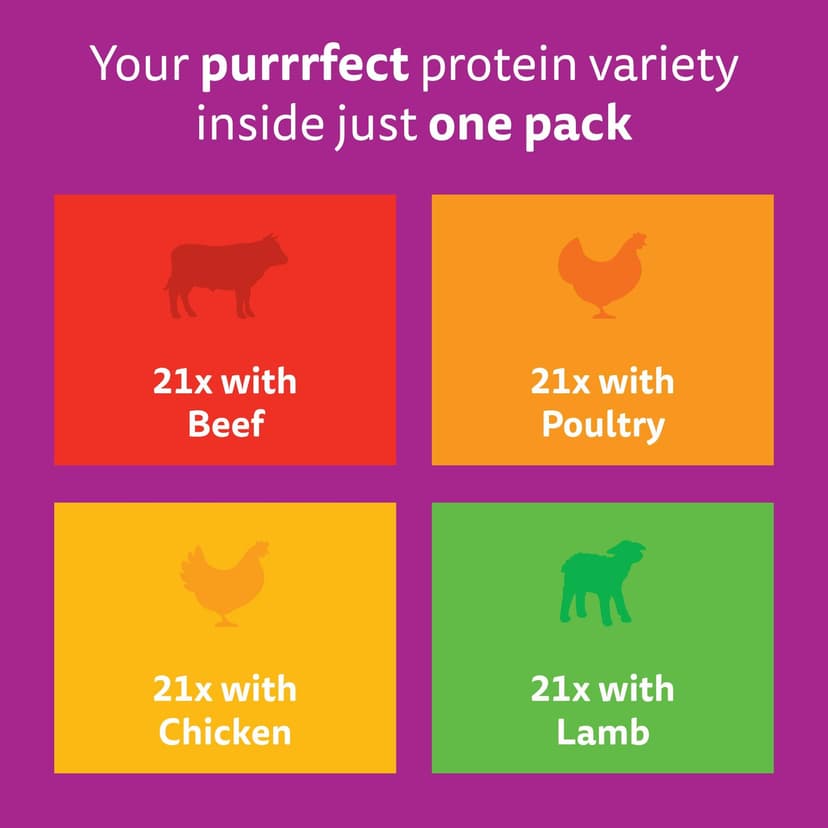 whiskas Junior Classic Selection in Gravy 84 Pouches, Wet Kitten and Cat Food, Selection of Beef, Lamb, Chicken and Poultry, Megapack (84 x 85 g) - 5