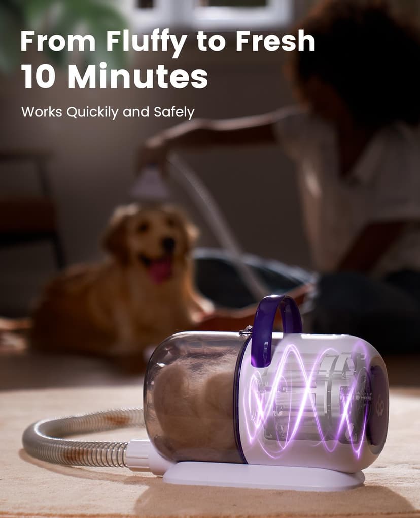 oneisall Aspirateur Poil de Chien et Chat, Aspirateur Poils d'animaux avec la Brosse, 12000Pa Puissance d'Aspiration, Elimine 99.99% des Poils d'animaux avec 4 Accessoires de Soins, 1.5L Capacité - 6