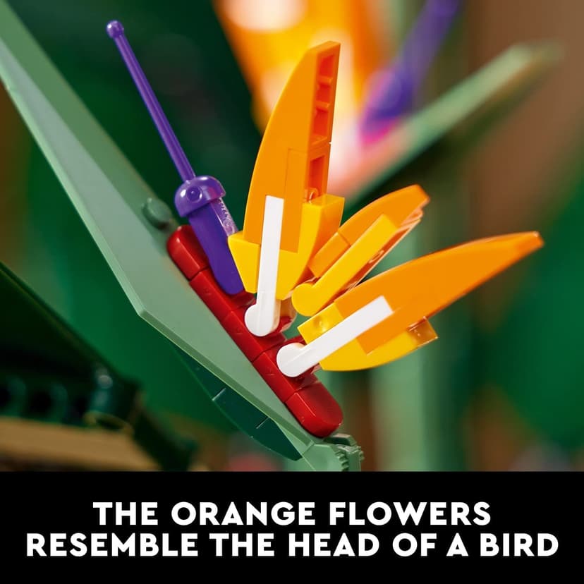 LEGO Icons 10289 L'Oiseau de Paradis, Fleurs Décoratives, Maquette Botanical Collection, Construction Plantes, pour Adultes - 7