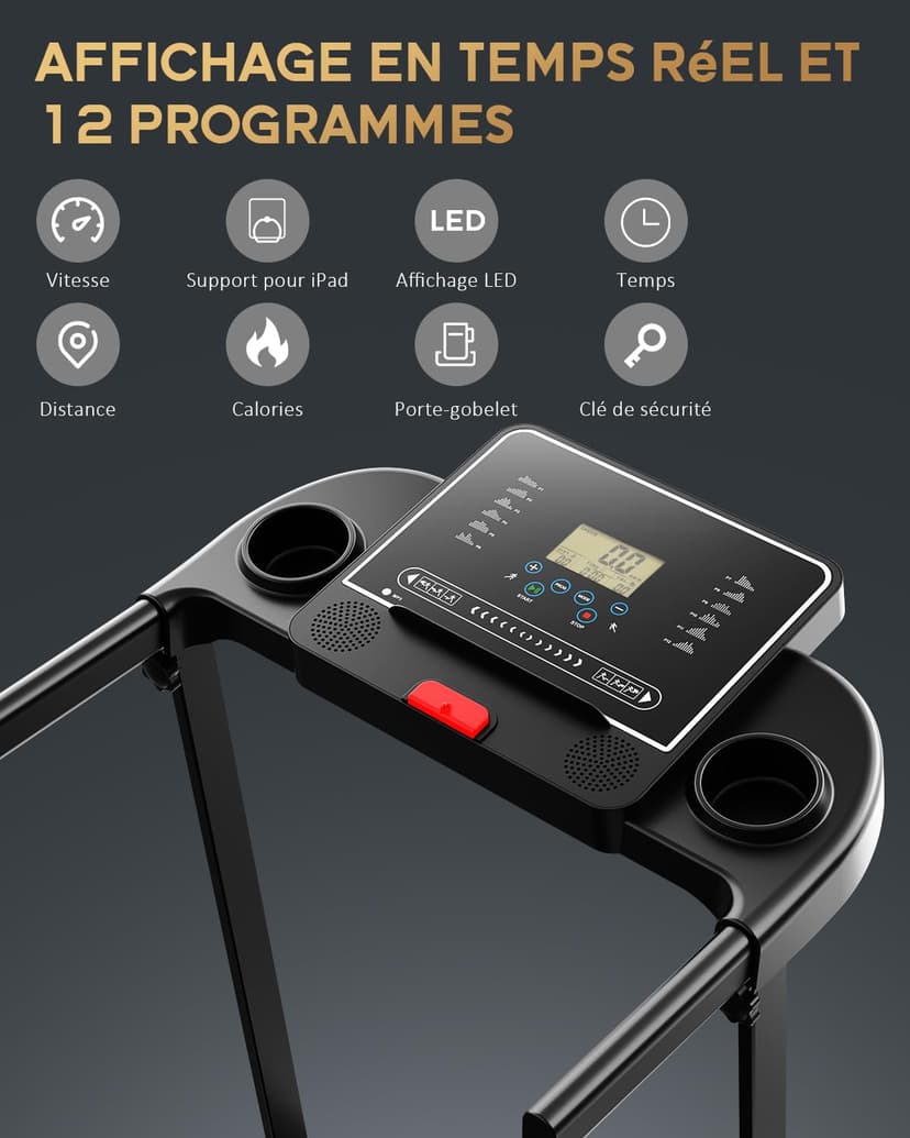 Kerolina Treadmill - 2