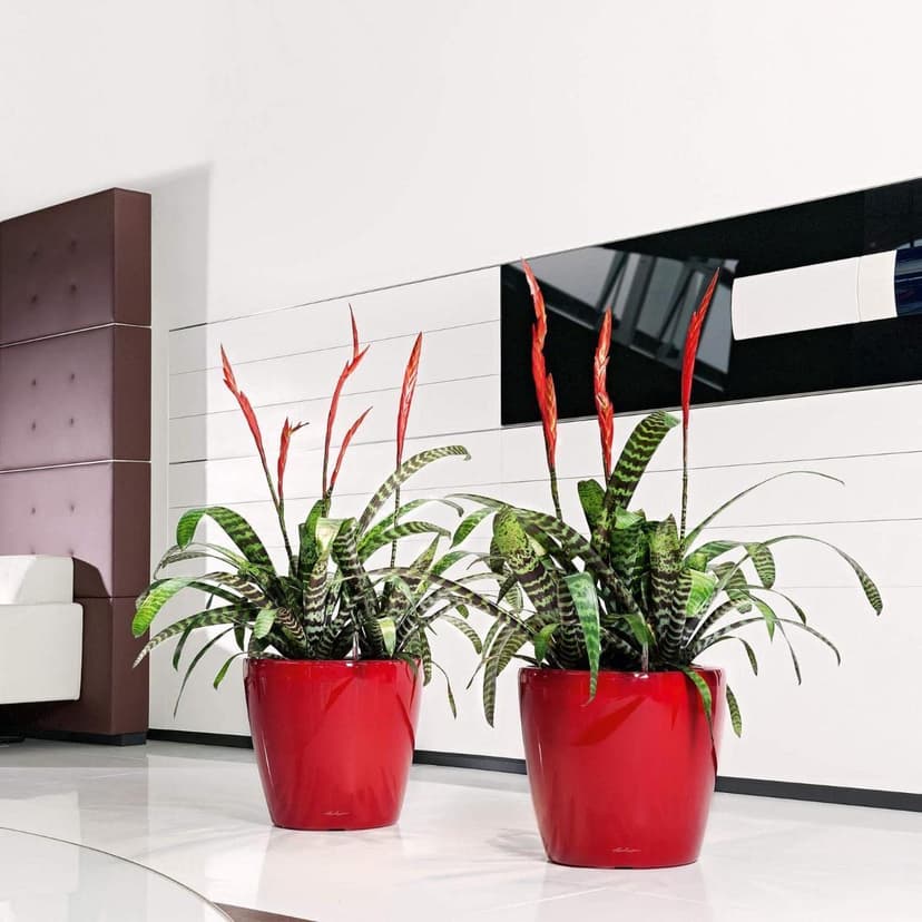 Lechuza Self Watering Plant Pot CLASSICO 43 LS Garden Flower Indoor and Outdoor Plastic Planter with Drainage Hole D43 H40 cm Red High-Gloss - 8