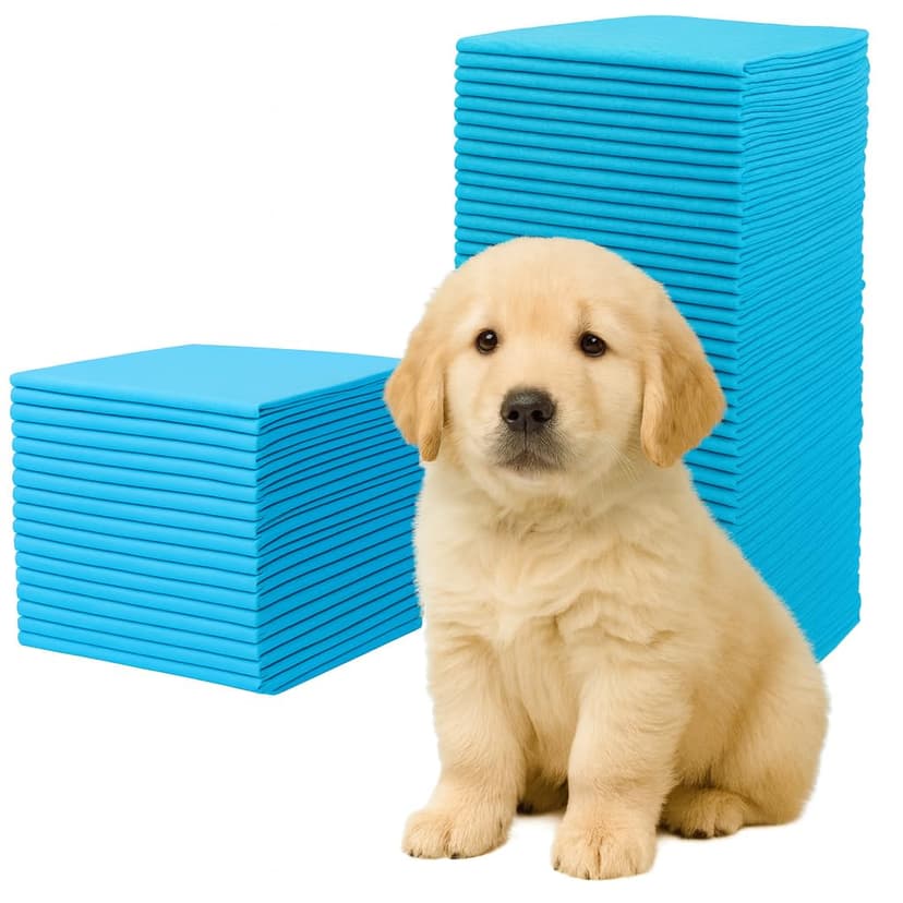 Pack of 100 Training Pads for Dogs 45 x 60 cm Dog Toilet … - 1