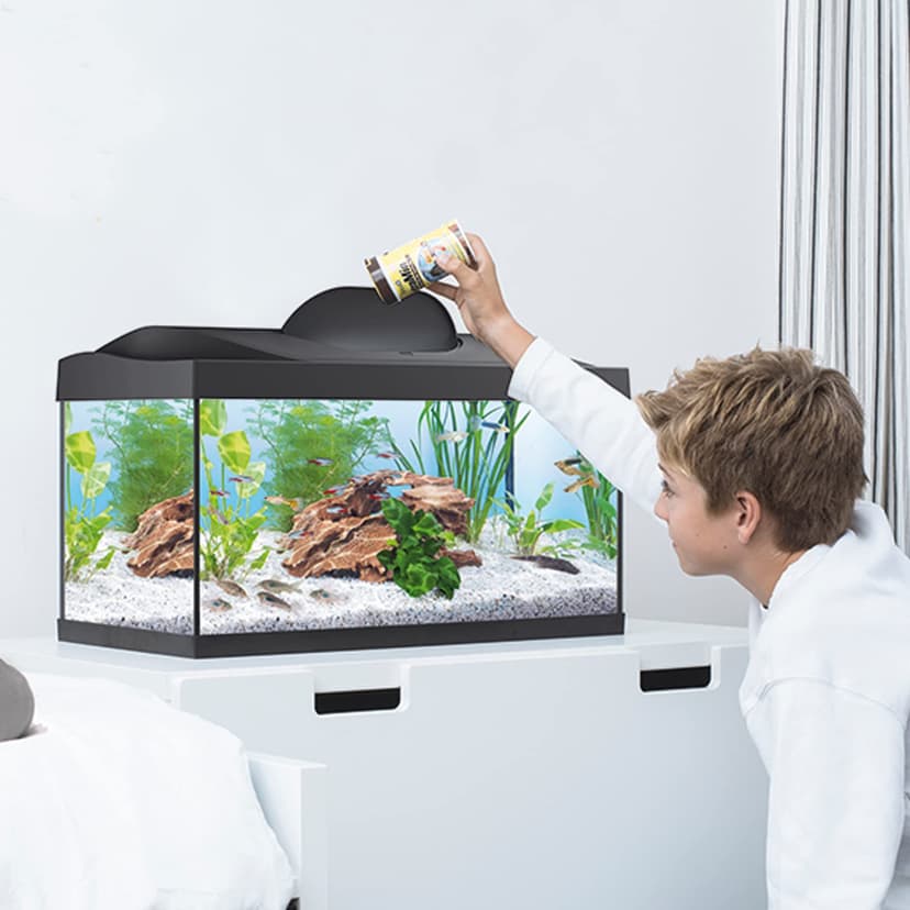 Tetra Starter Line LED – Aquarium Robuste Prêt à l’emploi - Pack complet : éclairage LED, filtre, cartouches, chauffage – Kit de démarrage : nourriture pour poissons, produit entretien de l’eau – 54 L - 5