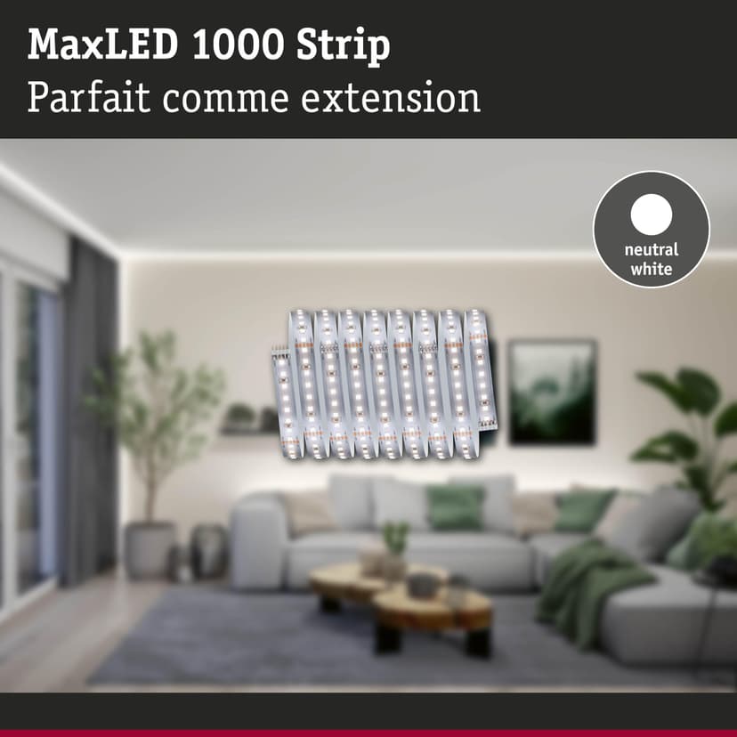 Paulmann MaxLED 71249 Bande 1000 LED Blanc Neutre Bande Individuelle 2,5m 18W 1100lm/m 128 LEDs/m 4000K - 3