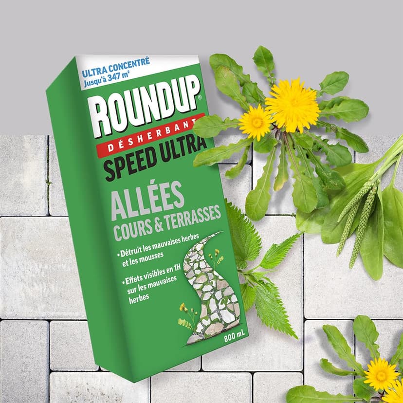 ROUNDUP Désherbant Concentré Cours, Allées & Terrasses – Format Économique 800ml – Action 2-en-1 Mauvaises Herbes & Mousses – Effets dès 1h - 7