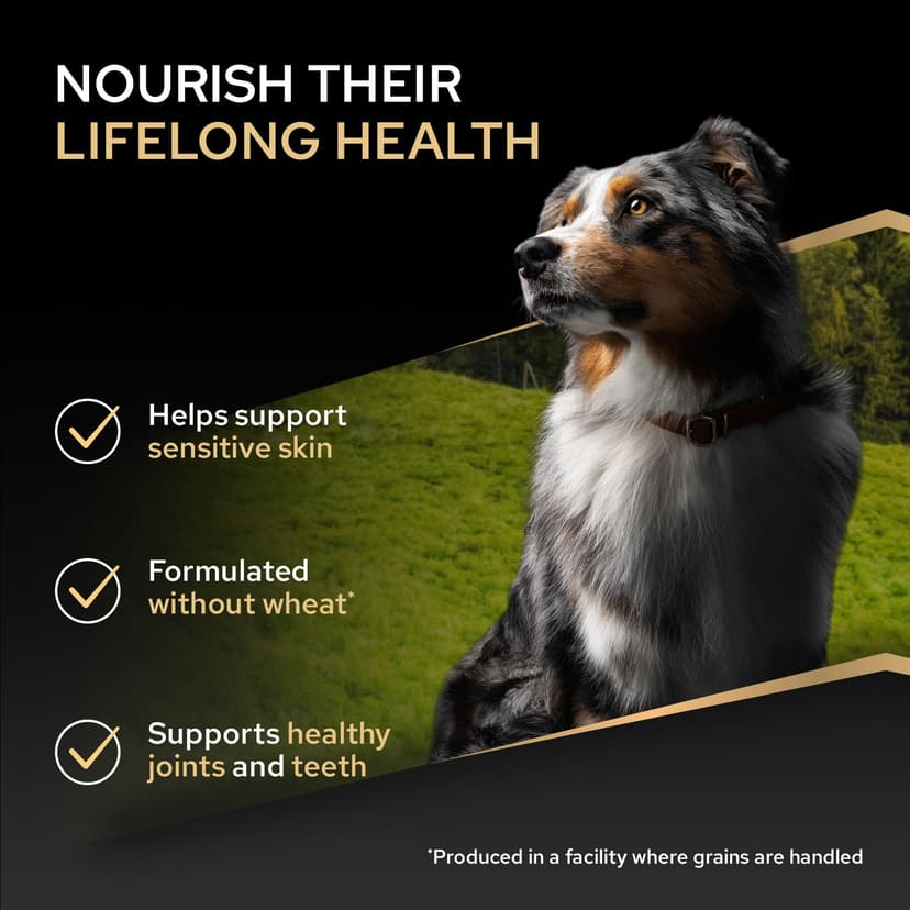Purina PRO PLAN | Chien Adulte de Taille Moyenne | Peau Sensible | Aliment Sec pour Peaux Sensibles | Formulé Sans Blé | Favorise un Pelage Sain et Brillant | Riche en Saumon | Sac | 14 Kg - 2