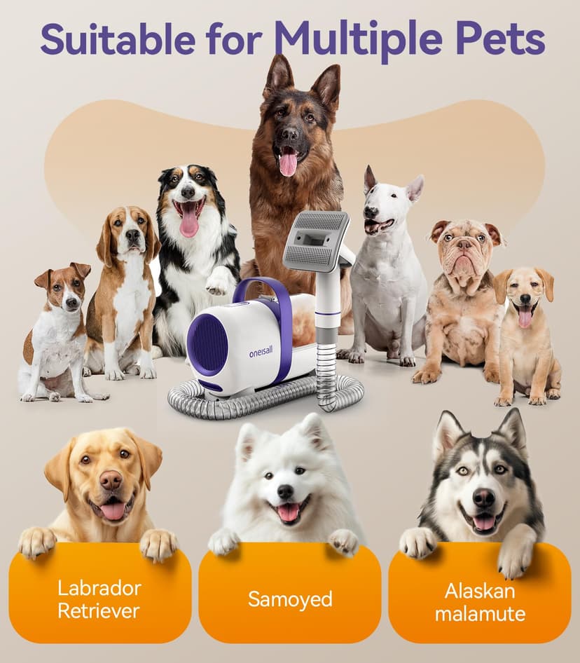 oneisall Aspirateur Poil de Chien et Chat, Aspirateur Poils d'animaux avec la Brosse, 12000Pa Puissance d'Aspiration, Elimine 99.99% des Poils d'animaux avec 4 Accessoires de Soins, 1.5L Capacité - 9