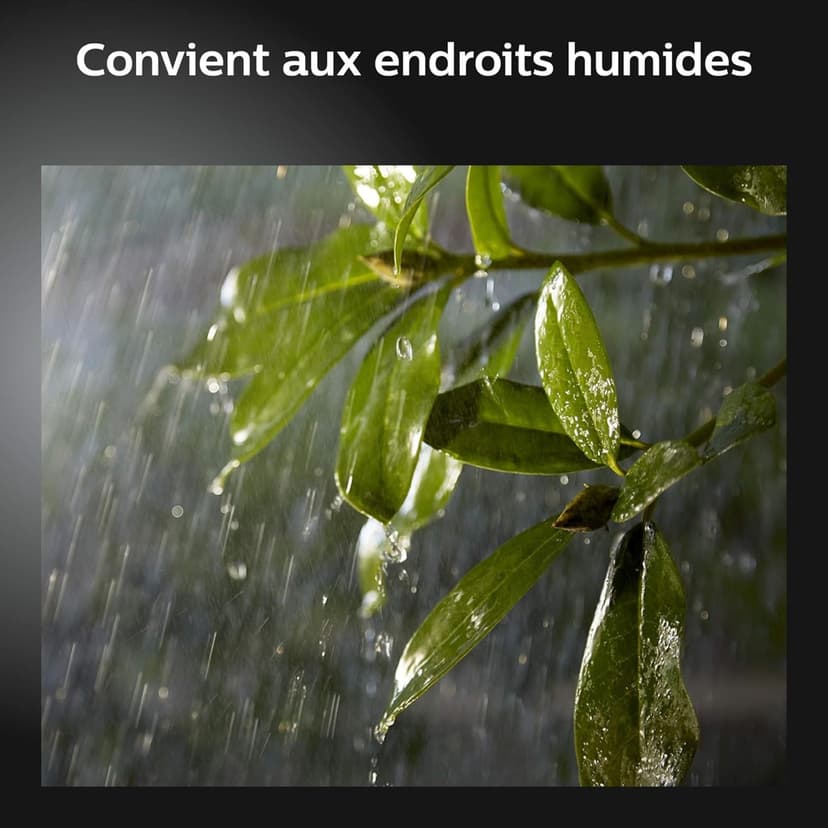 Philips Hue White & Color Ambiance Projecteur Extérieur DISCOVER, Éclairage extérieur en Aluminium Noir, Projecteur lumière compatible avec Alexa, Google Assistant et Apple Homekit - 9