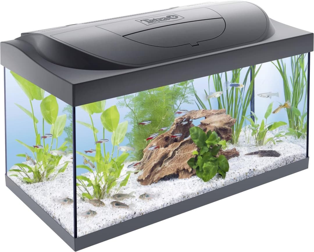 Tetra Starter Line LED – Aquarium Robuste Prêt à l’emploi…