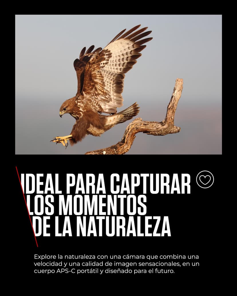 Canon EOS R7 (Boîtier) - Appareil Photo Hybride - Capteur APS-C 32,5 MP, Autofocus CMOS Dual Pixel II - Appareil Photo Numérique 4K 60p, Prise de Vue en Continu Jusqu’à 15 ips - Bluetooth, Wi-Fi, WLAN - 4