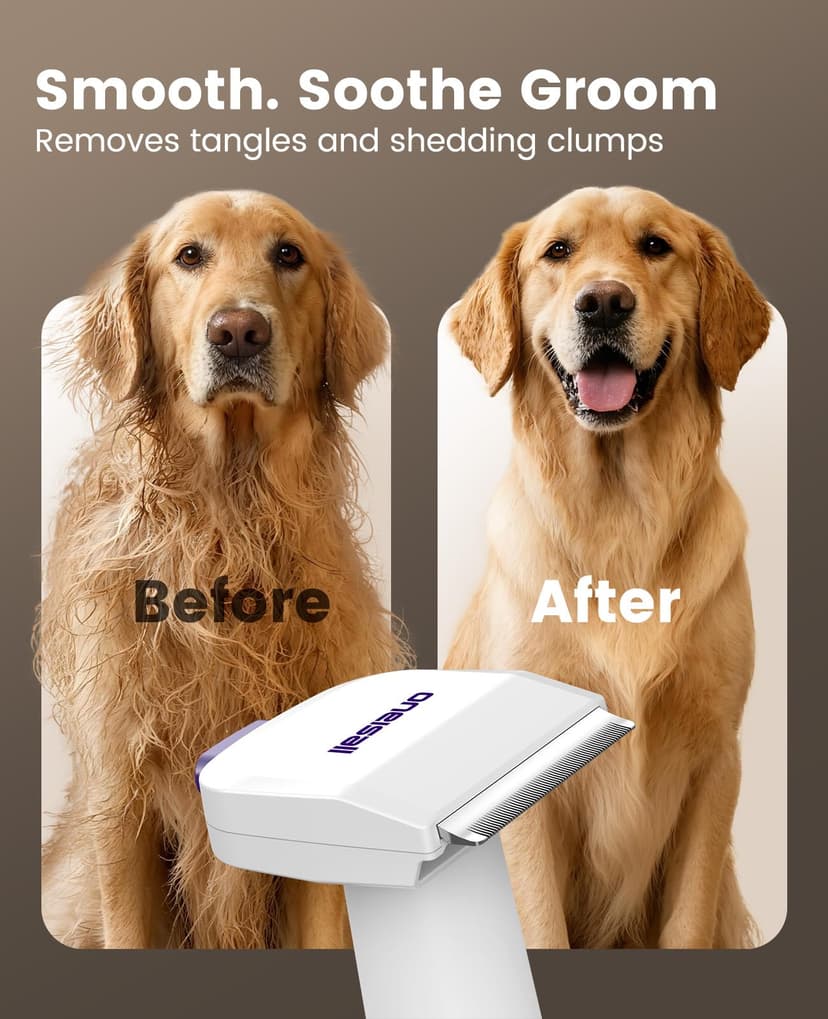 oneisall Aspirateur Poil de Chien et Chat, Aspirateur Poils d'animaux avec la Brosse, 12000Pa Puissance d'Aspiration, Elimine 99.99% des Poils d'animaux avec 4 Accessoires de Soins, 1.5L Capacité - 5