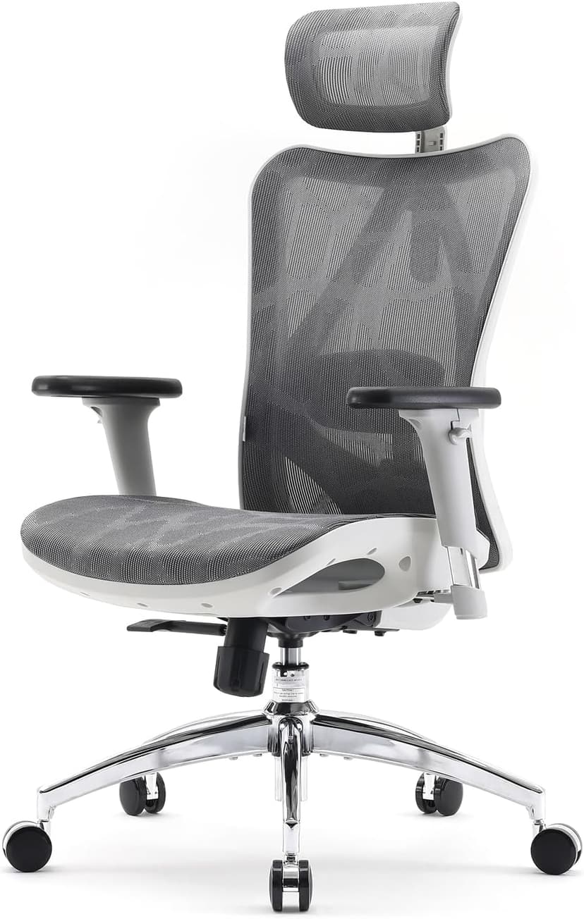 SIHOO Ergonomic Office Chair Mesh Desk Chair with Adjustable Lumbar Support 3D Armrests Breathable High Back Computer Chair (Light Gray) - 1