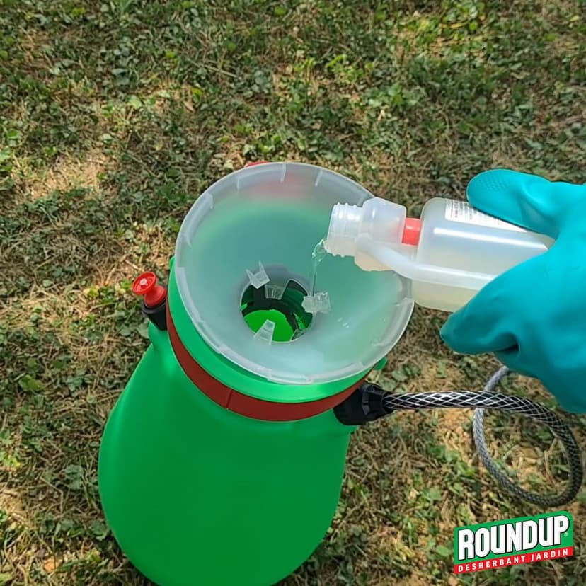 ROUNDUP Désherbant Concentré Cours, Allées & Terrasses – Format Économique 800ml – Action 2-en-1 Mauvaises Herbes & Mousses – Effets dès 1h - 4