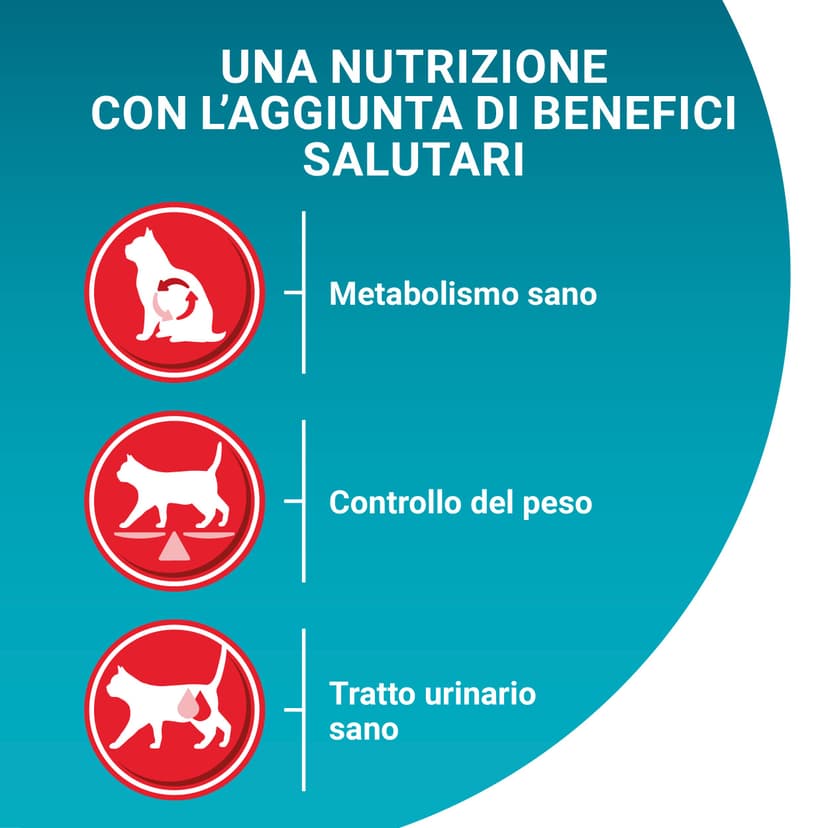 Purina One - Cat bifensis Special sterilized beef and wheat croquettes for adult cats 9.7 kg - 4