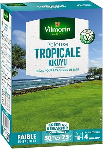 Vilmorin 4344512 Kikuyu Tropical Grass 500 g Green