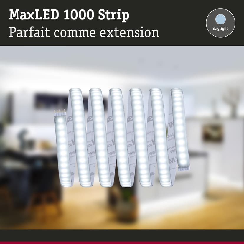Paulmann 70553 LED Strips MaxLED 1000 daylight white 2.5m 29W 2750lm 6500K IP44 dimmable lighting strip silver plastic - 3