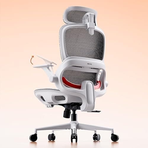 SIHOO B100 Ergonomic Office Chair, Comfy Desk Chair with …