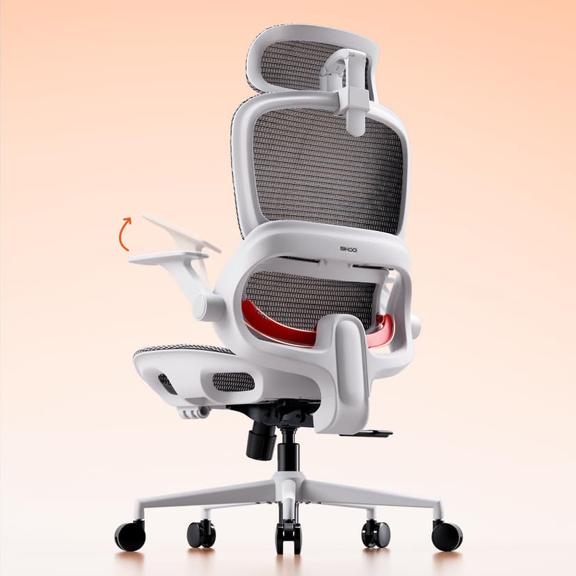 SIHOO B100 Ergonomic Office Chair, Comfy Desk Chair with Adaptive Dynamic Lumbar Support, Computer Chair with Extra Wide Headrest, Flip-Up Armrests, 90-135° Tilt Lock and Breathable Mesh Cushion - 1