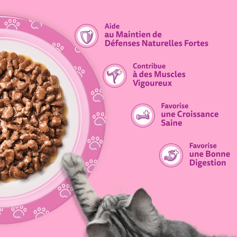 WHISKAS Aliment humide en sauce Chat junior 84x85g Les Repas Classiques - 5