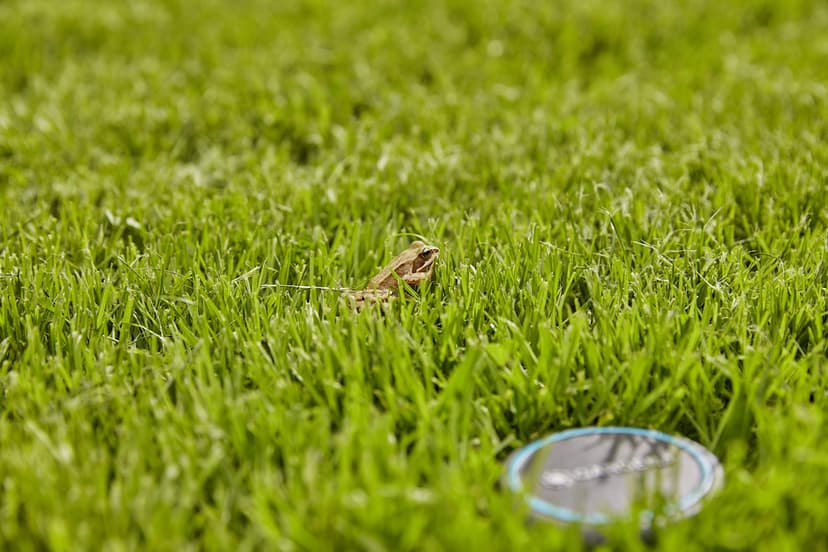 Gardena Sonde d'humidité des sols: Arrosage automatique, peut être utilisé directement sur la pelouse, câble de raccordement de 5 m, peut être prolongé avec un câble de rallonge (01867-20) - 9