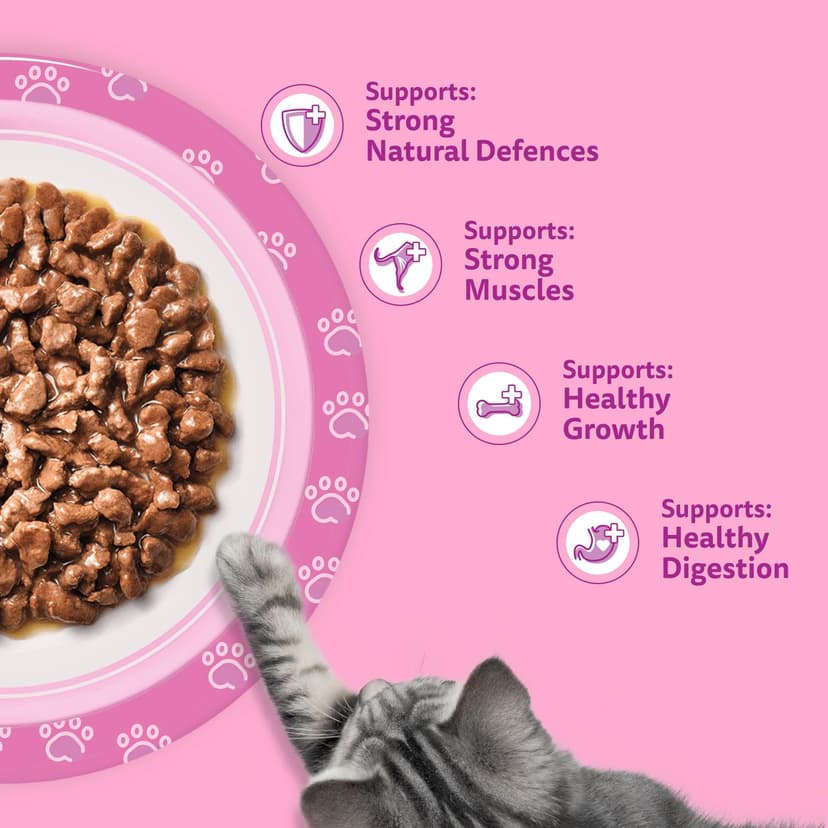 whiskas Junior Classic Selection in Gravy 84 Pouches, Wet Kitten and Cat Food, Selection of Beef, Lamb, Chicken and Poultry, Megapack (84 x 85 g) - 7