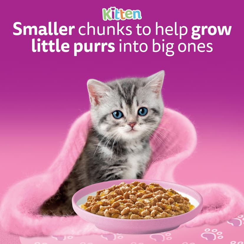 whiskas Junior Poultry Selection in Jelly 84 Pouches, Wet Kitten and Cat Food, Selection of Chicken, Duck, Poultry and Turkey, Megapack (84 x 85 g) - 8