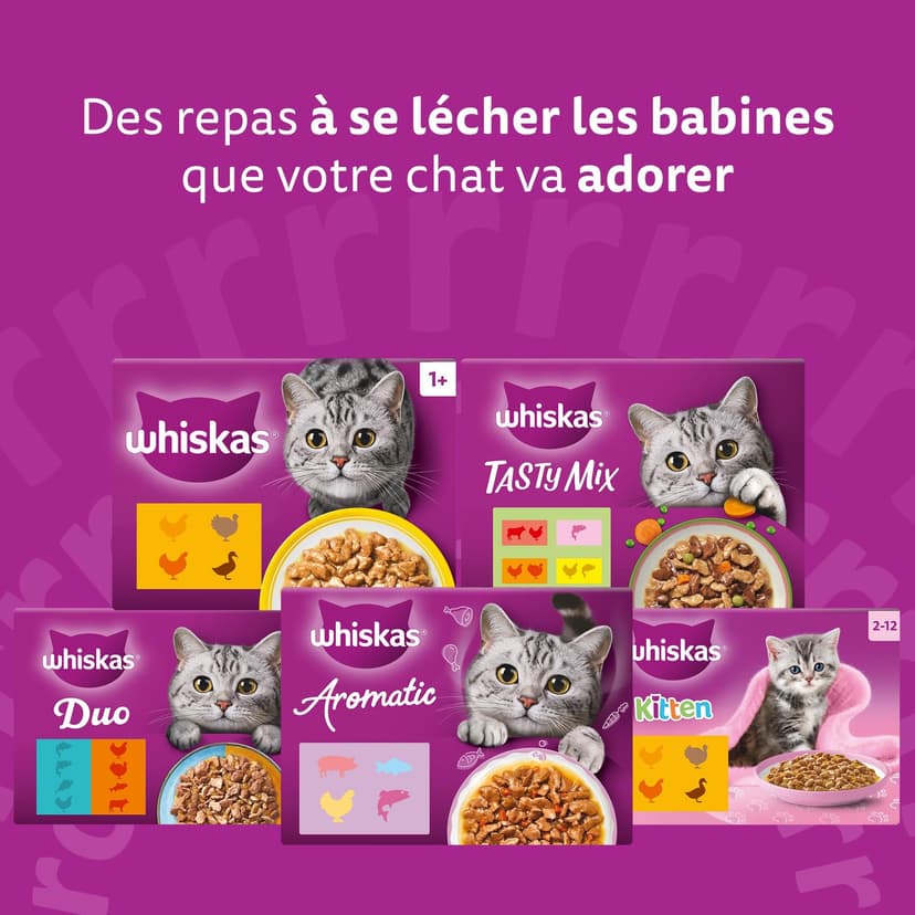 WHISKAS Aliment humide en sauce Chat junior 84x85g Les Repas Classiques - 9