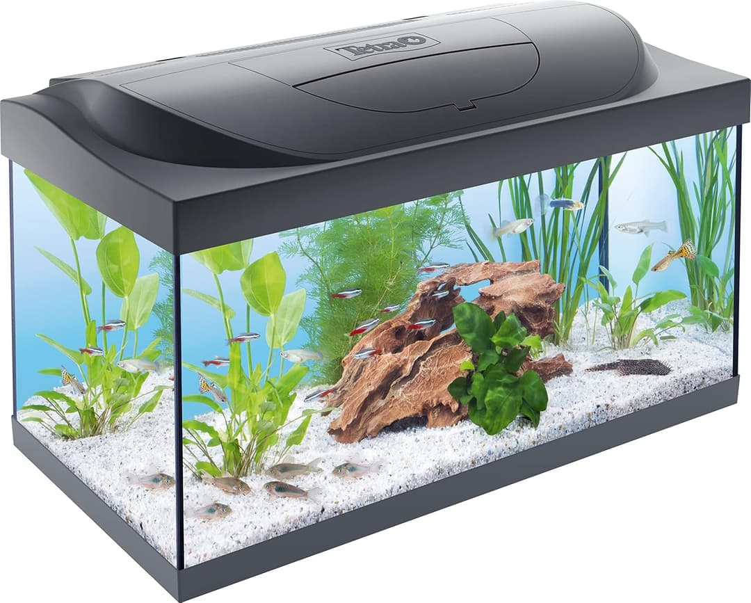 Tetra Starter Line LED – Aquarium Robuste Prêt à l’emploi - Pack complet : éclairage LED, filtre, cartouches, chauffage – Kit de démarrage : nourriture pour poissons, produit entretien de l’eau – 54 L