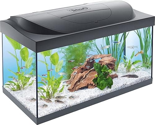 Tetra Starter Line LED – Aquarium Robuste Prêt à l’emploi - Pack complet : éclairage LED, filtre, cartouches, chauffage – Kit de démarrage : nourriture pour poissons, produit entretien de l’eau – 54 L
