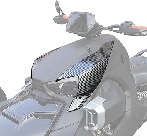 SAUTVS Plastic Carbon Fiber Pattern Fairing Panels for Can Am Ryker, Carbon Fiber Pattern Fairing Panels for Can-Am Ryker Models Accessories (2PCS, Replace #219400803)