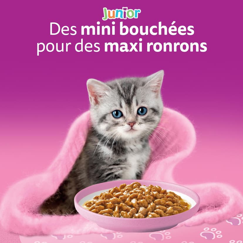 WHISKAS Aliment humide en sauce Chat junior 84x85g Les Repas Classiques - 7