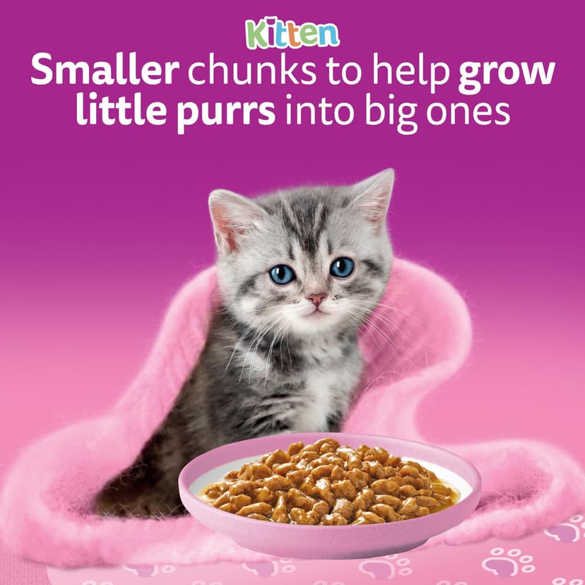 whiskas Junior Classic Selection in Gravy 84 Pouches, Wet Kitten and Cat Food, Selection of Beef, Lamb, Chicken and Poultry, Megapack (84 x 85 g) - 8