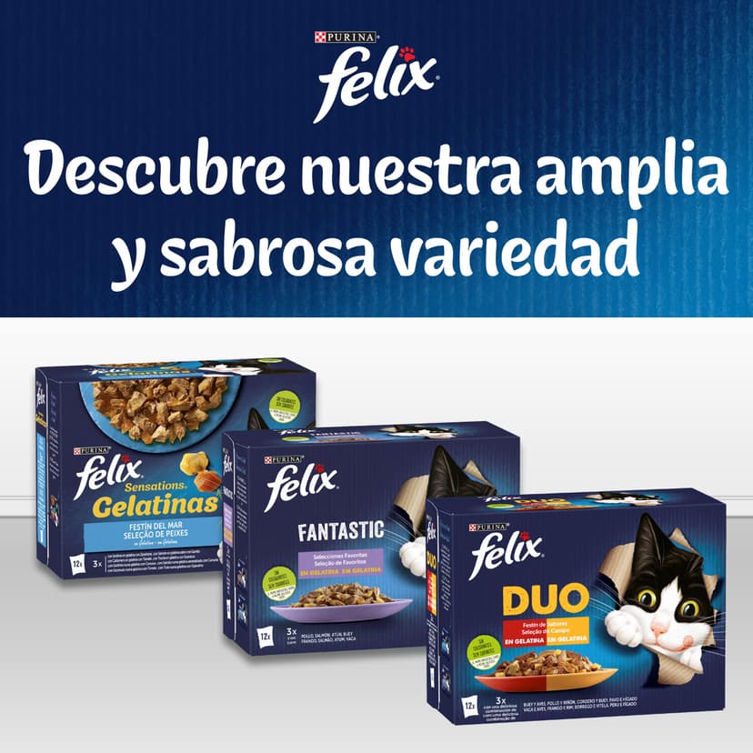 Felix Every Day Party Mix in Jelly Cat Food, Wet Food Meal Bags with Beef, Chicken, Salmon & Tuna, 44 x 85 g (44 meal bags; 3.7 kg) - 8