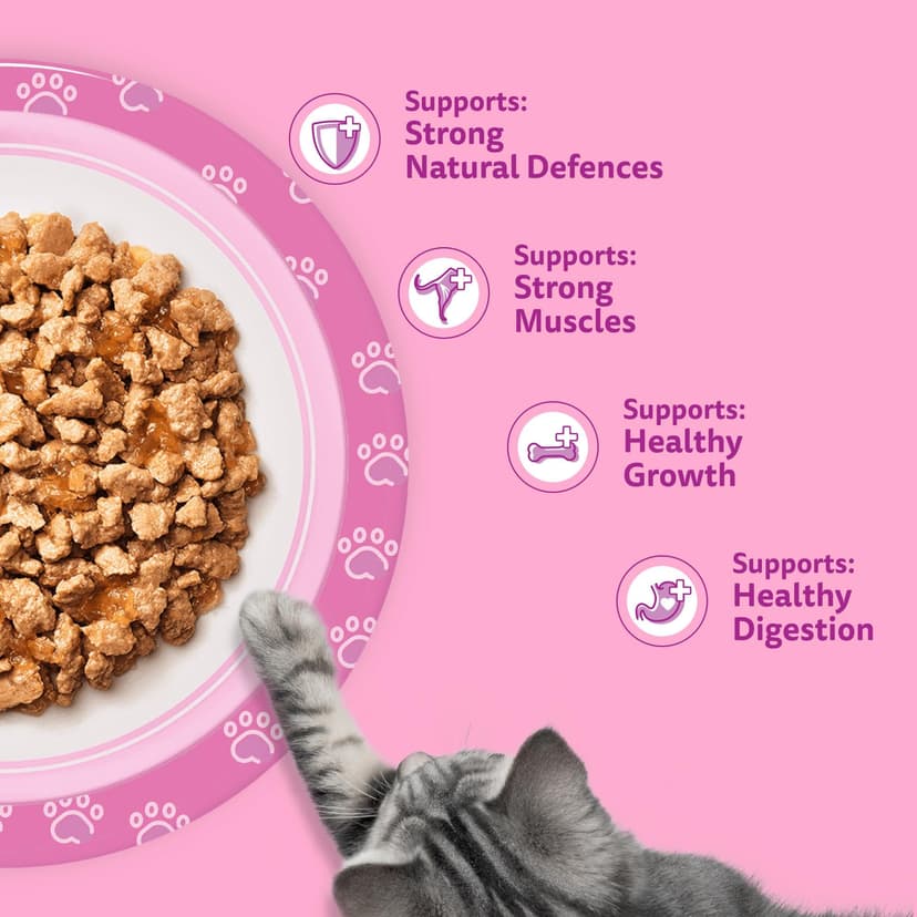 whiskas Junior Poultry Selection in Jelly 84 Pouches, Wet Kitten and Cat Food, Selection of Chicken, Duck, Poultry and Turkey, Megapack (84 x 85 g) - 7