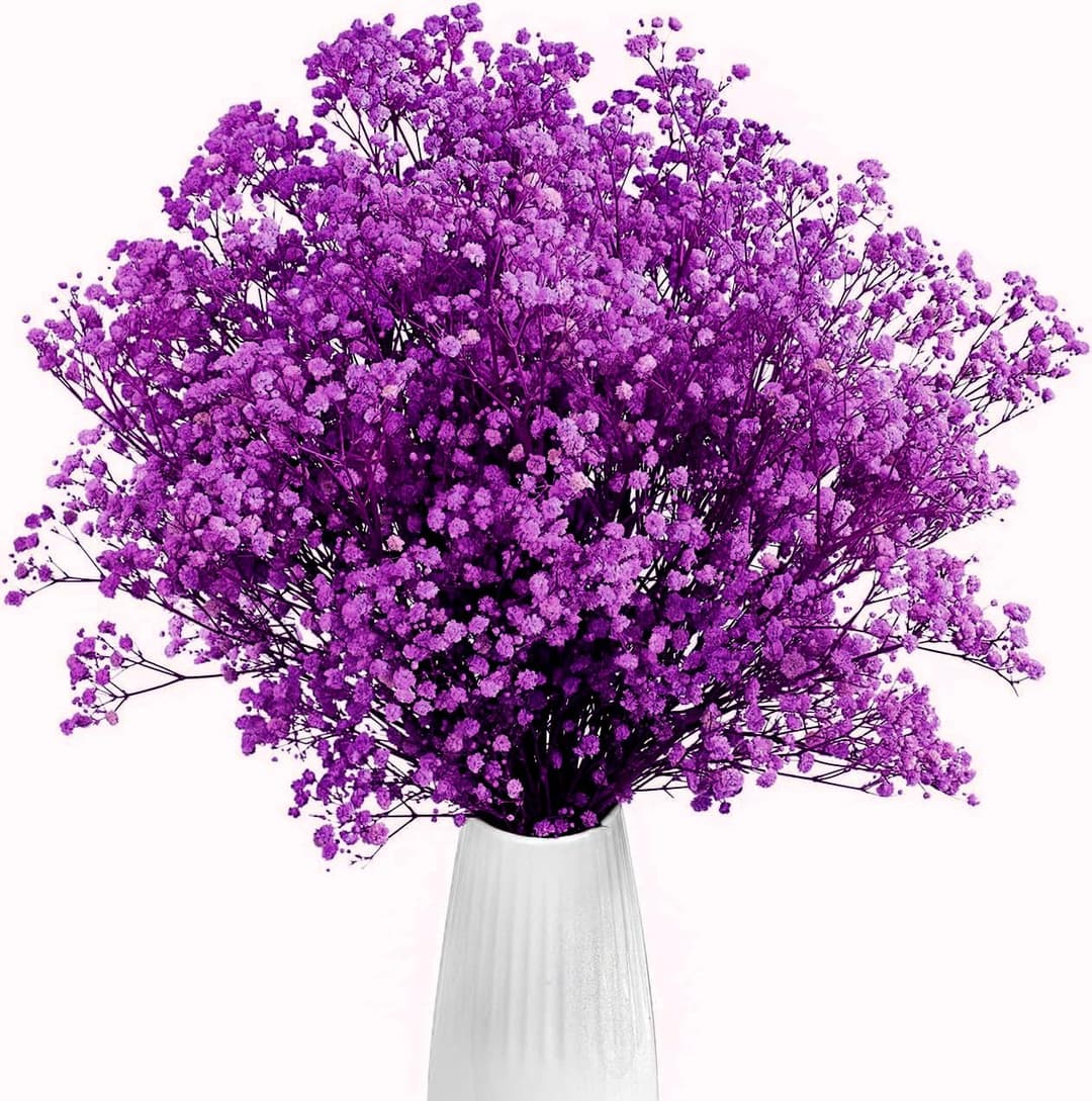 Gipizi Dried Baby's Breath Flowers Purple, 17inch Dried Natural Flowers Babys Breath Bulk with 3000 Buds, Real Dry Gypsophila for Wedding, Party, Wreath Floral DIY, Home Decor