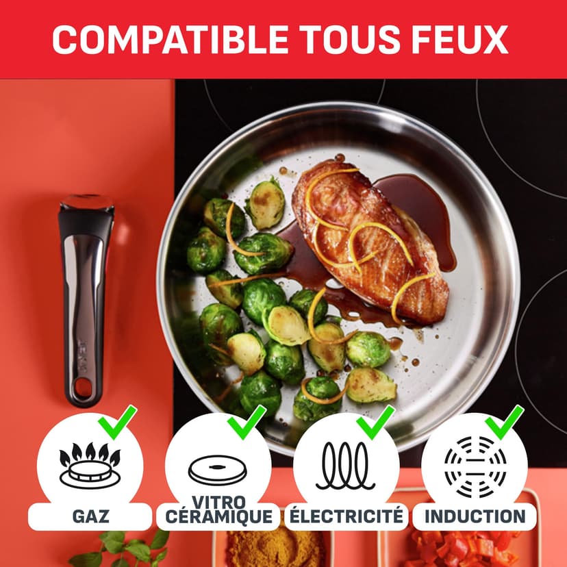 Tefal Ingenio Set of 4 Pieces, 16/18/20 cm Pans + 1 Removable Handle, Induction, Stainless Steel, Stackable, Space Saving, Made in China, Preference On L898S334 - 4