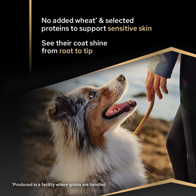 Purina PRO PLAN | Chien Adulte de Taille Moyenne | Peau Sensible | Aliment Sec pour Peaux Sensibles | Formulé Sans Blé | Favorise un Pelage Sain et Brillant | Riche en Saumon | Sac | 14 Kg - 4