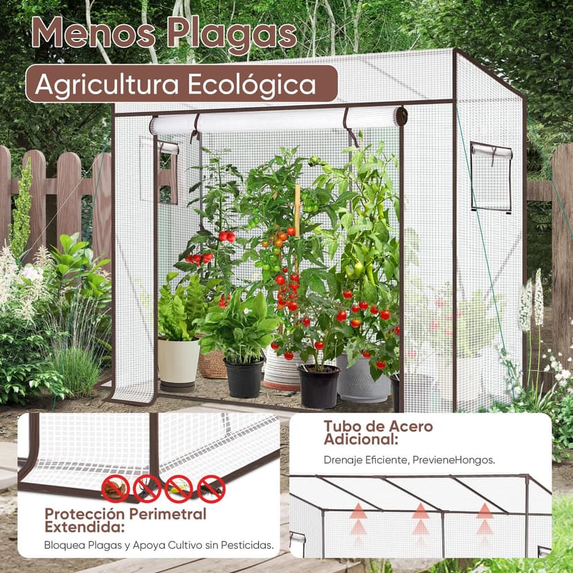 Sekey Greenhouse XL 200 x 77 x 146 / 170 cm / Foil Tomato Greenhouse / Walk-in Greenhouse Grow House / Plant House / Garden greenhouse / Plastic Greenhouse / Cold frame / Garden Grow House durable - 5