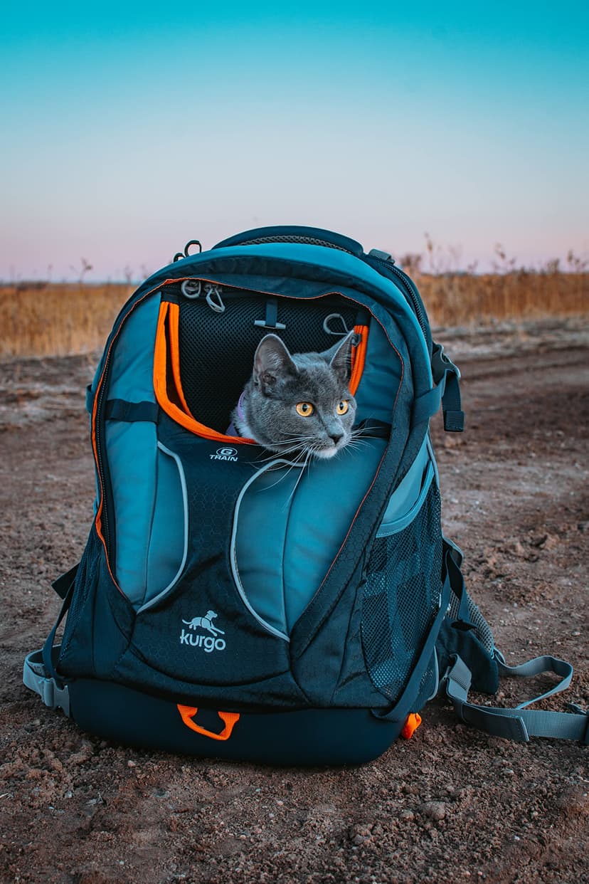 Kurgo G-Train Dog Carrier Backpack - Comfortable Travel Bag for Pets Up to 11 kg - Waterproof Bottom - Multi-Compartment Pack - Dog Hiking Gear - Rugged Adventure Backpack - Navy Blue - 8
