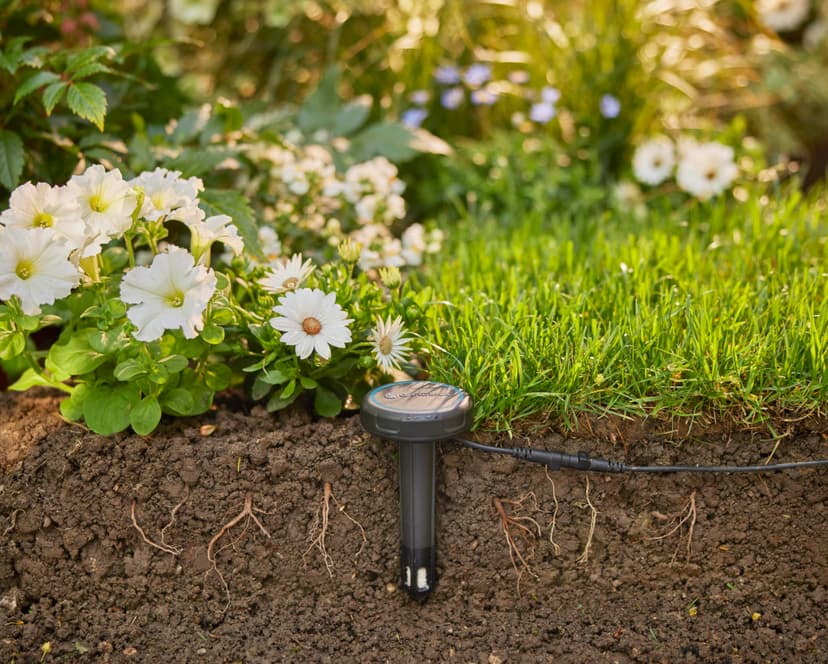 Gardena Sonde d'humidité des sols: Arrosage automatique, peut être utilisé directement sur la pelouse, câble de raccordement de 5 m, peut être prolongé avec un câble de rallonge (01867-20) - 2
