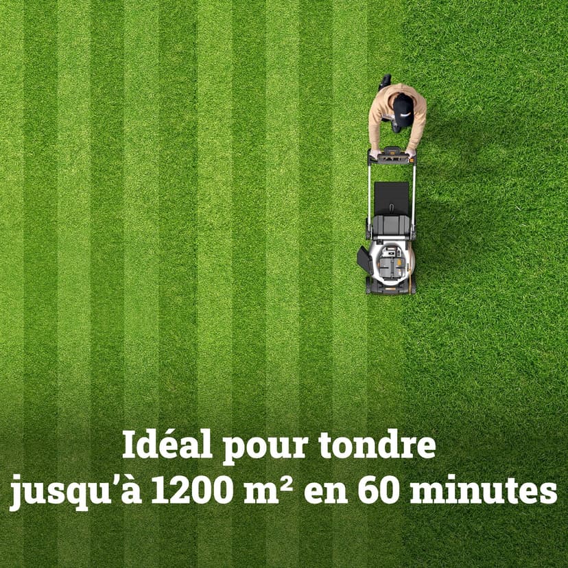 WORX Tondeuse à Gazon Brushless sans Fil 80V WG761E, jusqu'à 1000m² sur Une Charge diamètre de 51 cm, Sac de 70 L, Mulching, 7 Positions de Coupe, livrée avec 4 Batt 20V 4Ah, Chargeur Rapide - 5